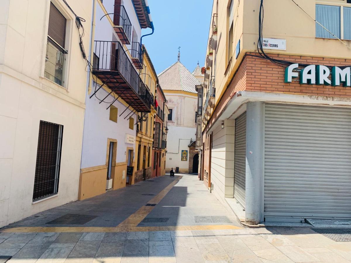 Homely Malaga Parras Con Terraza Interior Y Parking Privado Bajo Suplemento Exteriér fotografie